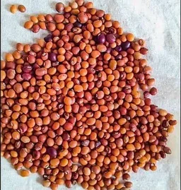 Red Gram Kandulu