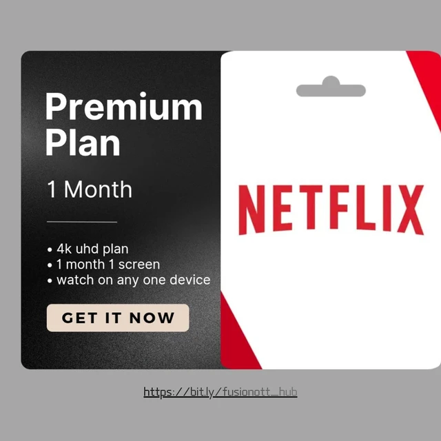 Netflix Shared Account