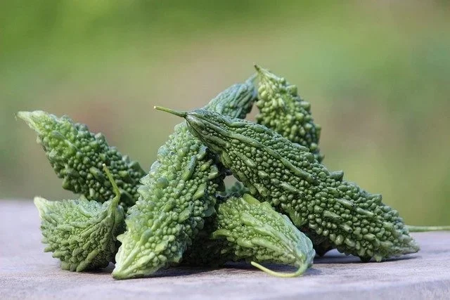 Bitter Gourd - 500g