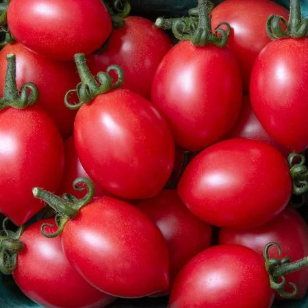 Tomato - 2Kg