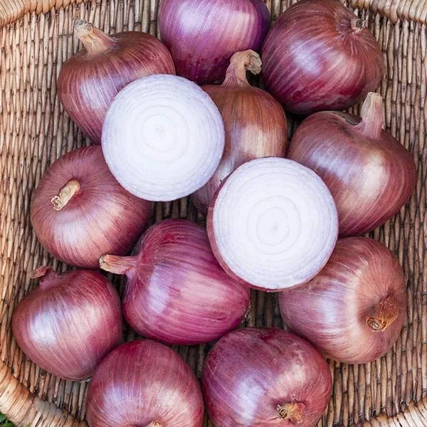 Onions Groceries - 1kg