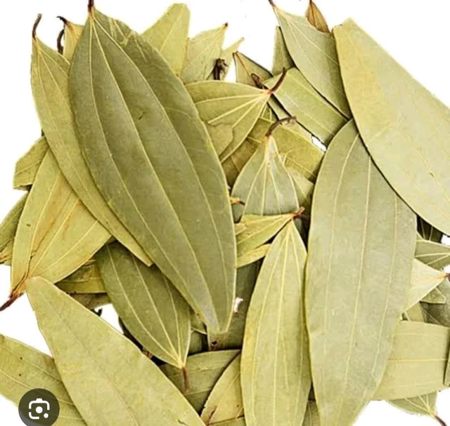 Tajpata
