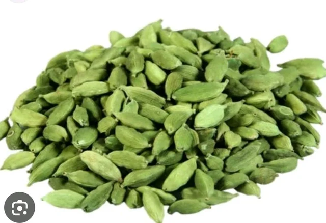 Elechi 
