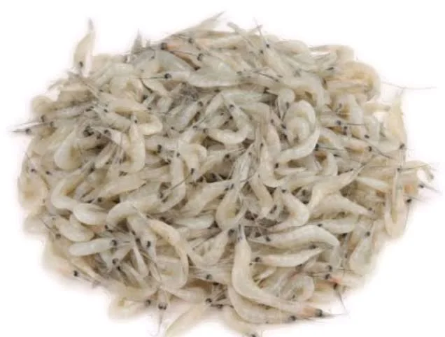 Prawn Small(Kucho chingri ) - 250gm