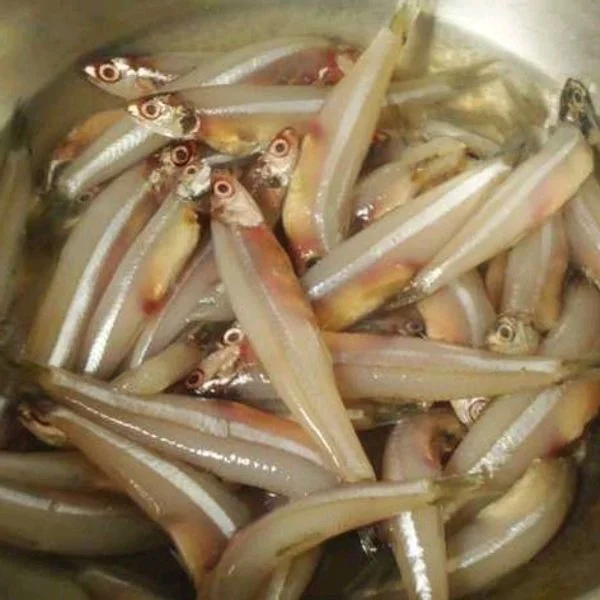 Anchovy(Nethili)
