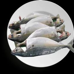 Mackerel (Bangda) - Whole , Cleaned