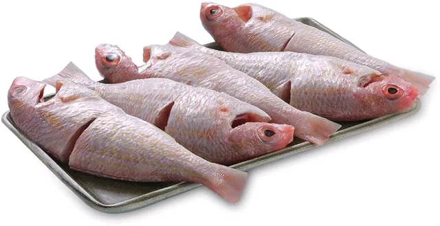 Shankara large currycut