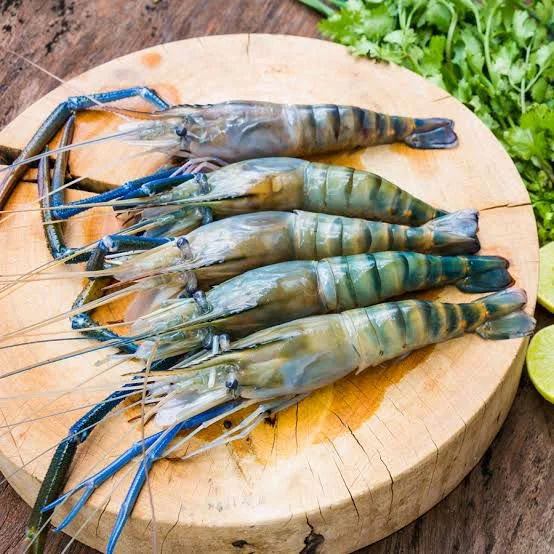 Scampi