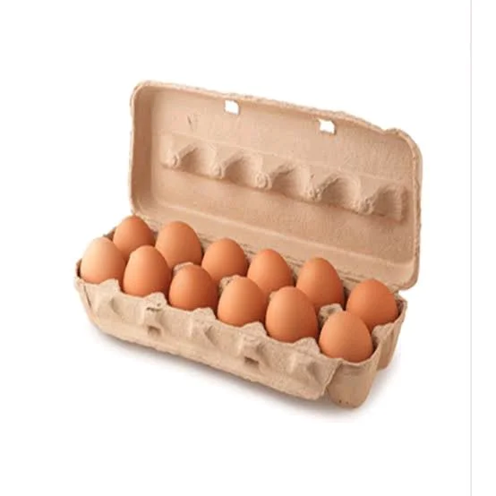 Brown Egg