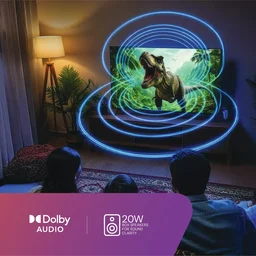 DishTV 80 cm (32 inch) Full HD LED Smart Google TV with Entertainment Hub By dishtv