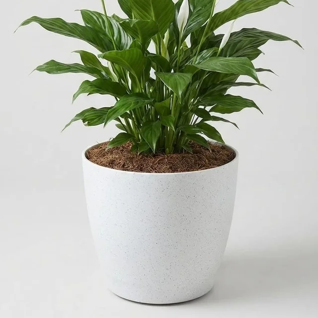 Deco | Premium Plastic Textured Pots