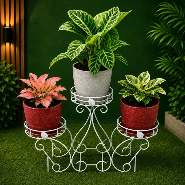 Designer Stand 3 Pots Holder