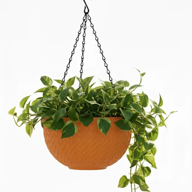 Dollar Nest Hanging Pot | 8 Inches