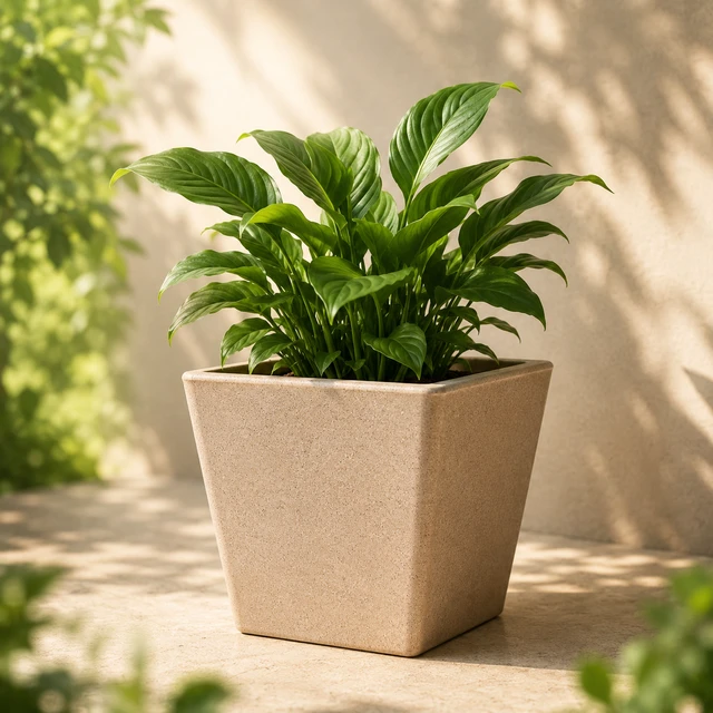 Castel | Square RotoMould Planters - 20 Inches, Dark Grey