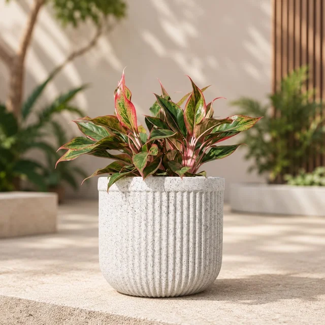 Comet | Fluted RotoMould Planter With Tray