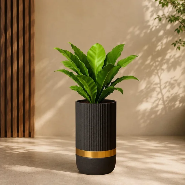 I Aura | Fluted Design | Golden Strip |