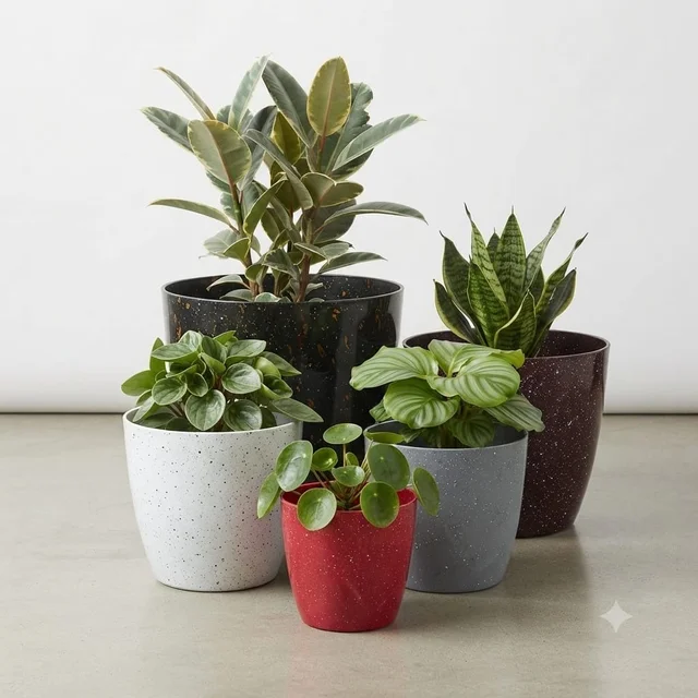 GrowGreen Divinity | High Glossy Plastic Pots | Stone Colors - 5 Inches, Stone Grey