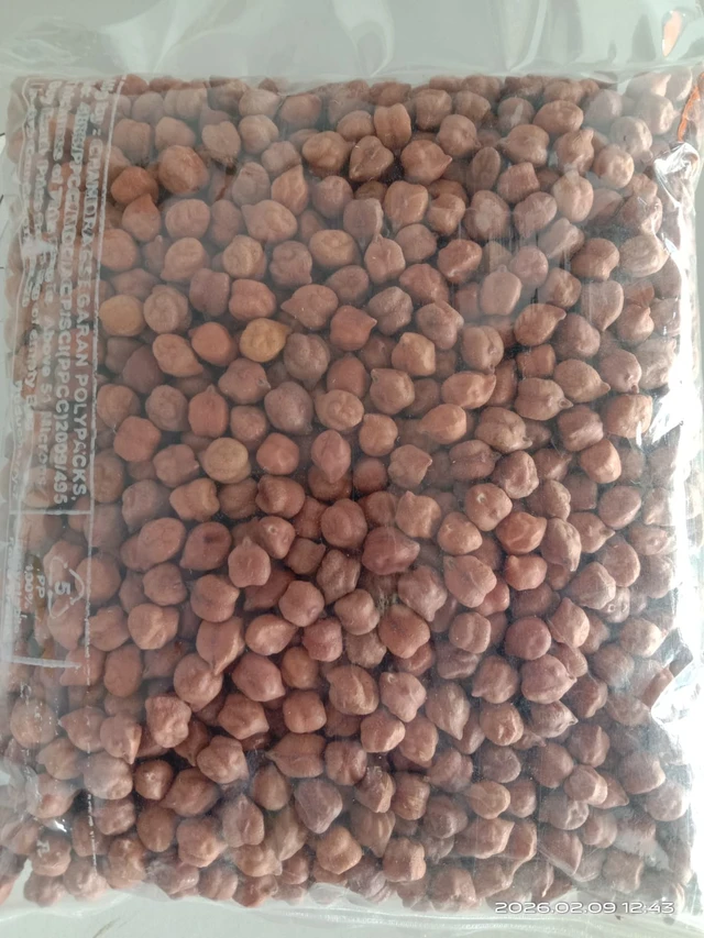 Desi Brown Channa / கருப்பு கொண்டைக்கடலை(500 Gram) (Kala Chana) - 500Gram