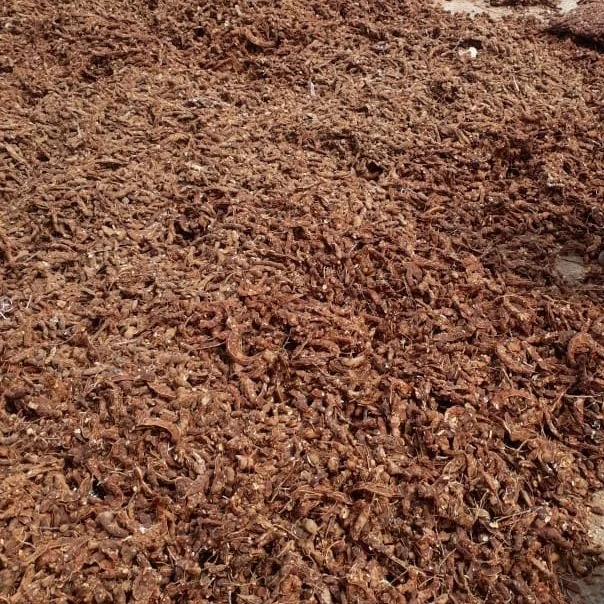 Tamarind Bar (Seedless) / புளி (விதை நீக்கப்பட்டது) 1 Kg - 1kg