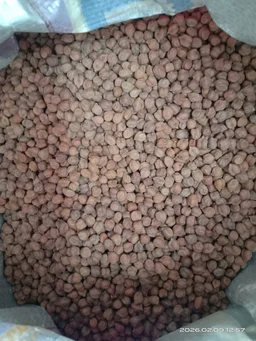 Desi Brown Channa / கருப்பு கொண்டைக்கடலை(500 Gram) (Kala Chana) - 500Gram