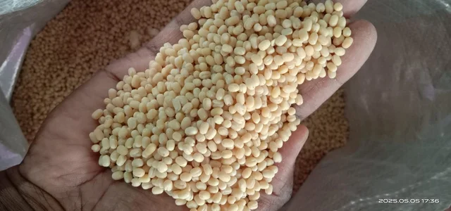 Premium Urad Dal (whole) / முழு உளுந்து (1 Kg) - 1kg