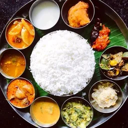 Plate Veg Meals
