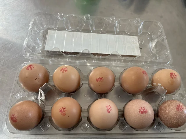 Brown Eggs Tray Pack 10pc