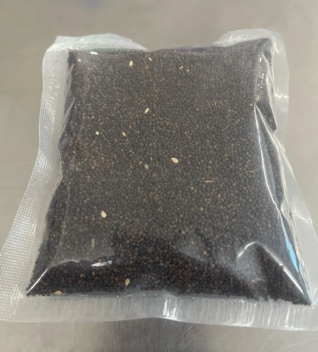 Hillpure Organic Jakhiya Seeds 100gm 