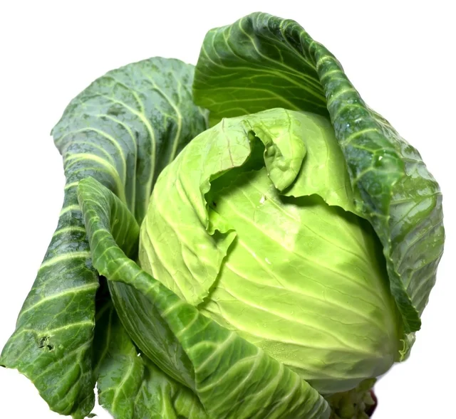 Cabbage (Bandha)