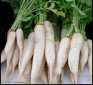 Organic Radish - 1.kg