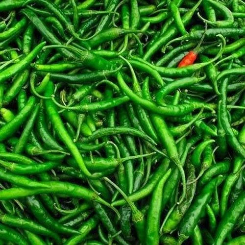 Organic Green Chilli - 1.kg