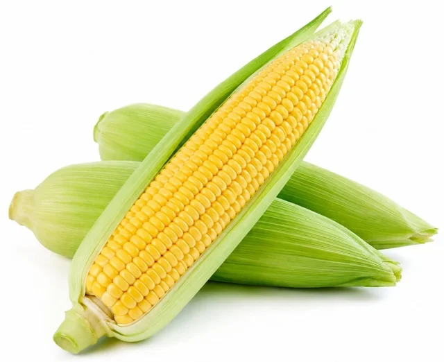 Sweet Corn ( Butta)