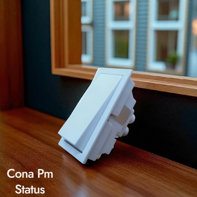 PM CONA STATUS 6AX 1 WAY SWITCH , 1M ( WHITE ) - WHITE