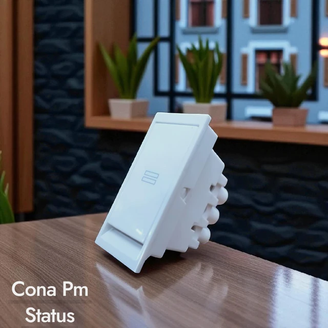 PM CONA STATUS FLAT 6AX 2 WAY SWITCH , 1M ( WHITE ) - WHITE