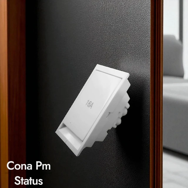 PM CONA STATUS FLAT 16AX 1 WAY SWITCH , 1M ( WHITE ) - WHITE