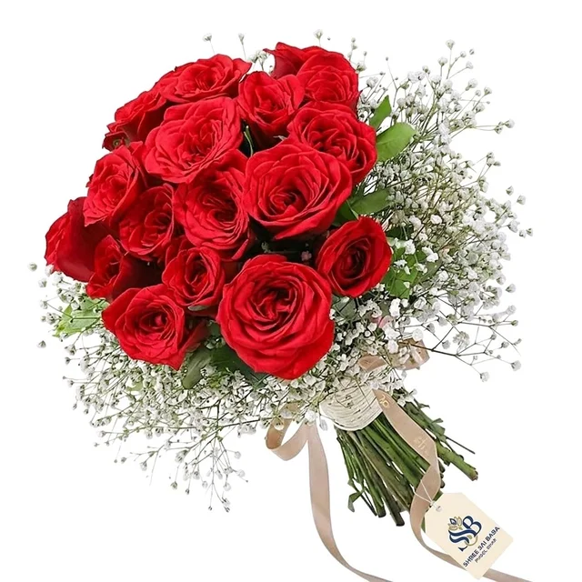 Red Rose And White Gypsy