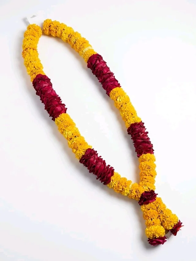 Classy Yellow With Rose Richness - 4foot