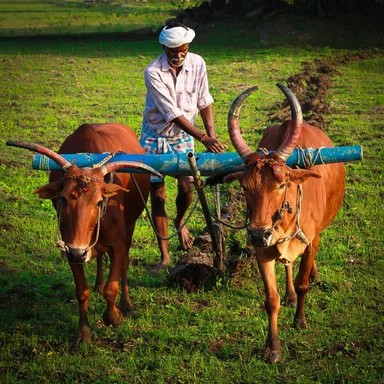 Agriculture needs