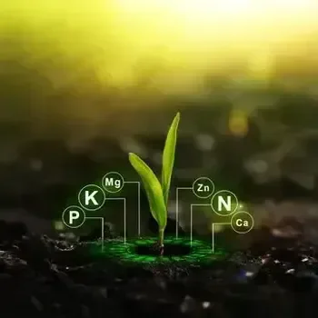 Crop Nutrition