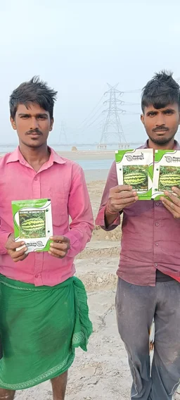 Hybrid Watermelon Punjab Plus