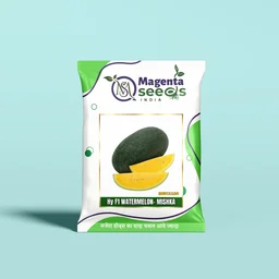 MISHKA- Hybrid Watermelon Seeds