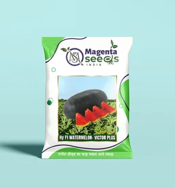 VICTOR PLUS Hybrid Watermelon Seeds