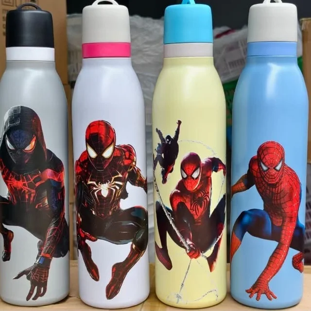 Premium quality steel Insulated bottles 750 ml