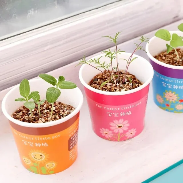 New diy grow your own plant kit