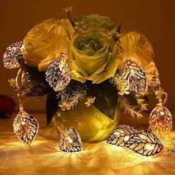 Multi Design Fancy Light choose your Design