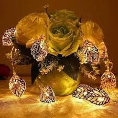 Multi Design Fancy Light choose your Design