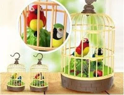 Singing And Chirping Birds