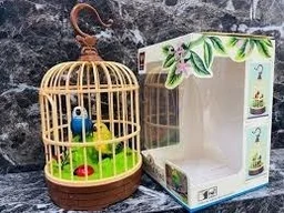 Singing And Chirping Birds