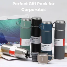 Stainless Steel Vacuum Flask Gift Set with 2 Cups
