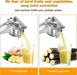 Hand Press Juicer